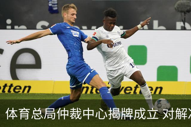 体育总局仲裁中心揭牌成立 对解决足球纠纷有益